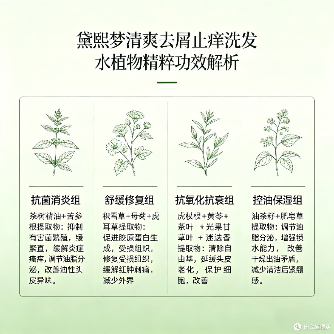 头皮瘙痒克星:十款温和去屑洗发水,根源抑真菌,持久止痒不反复