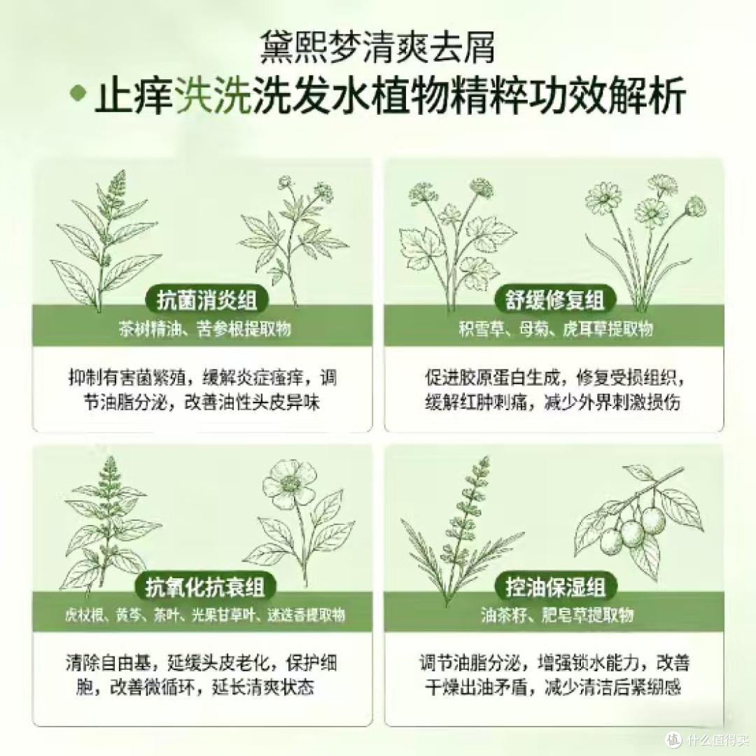 长期反复头屑头痒出油?实测4款止痒去屑控油洗发水,男女通用