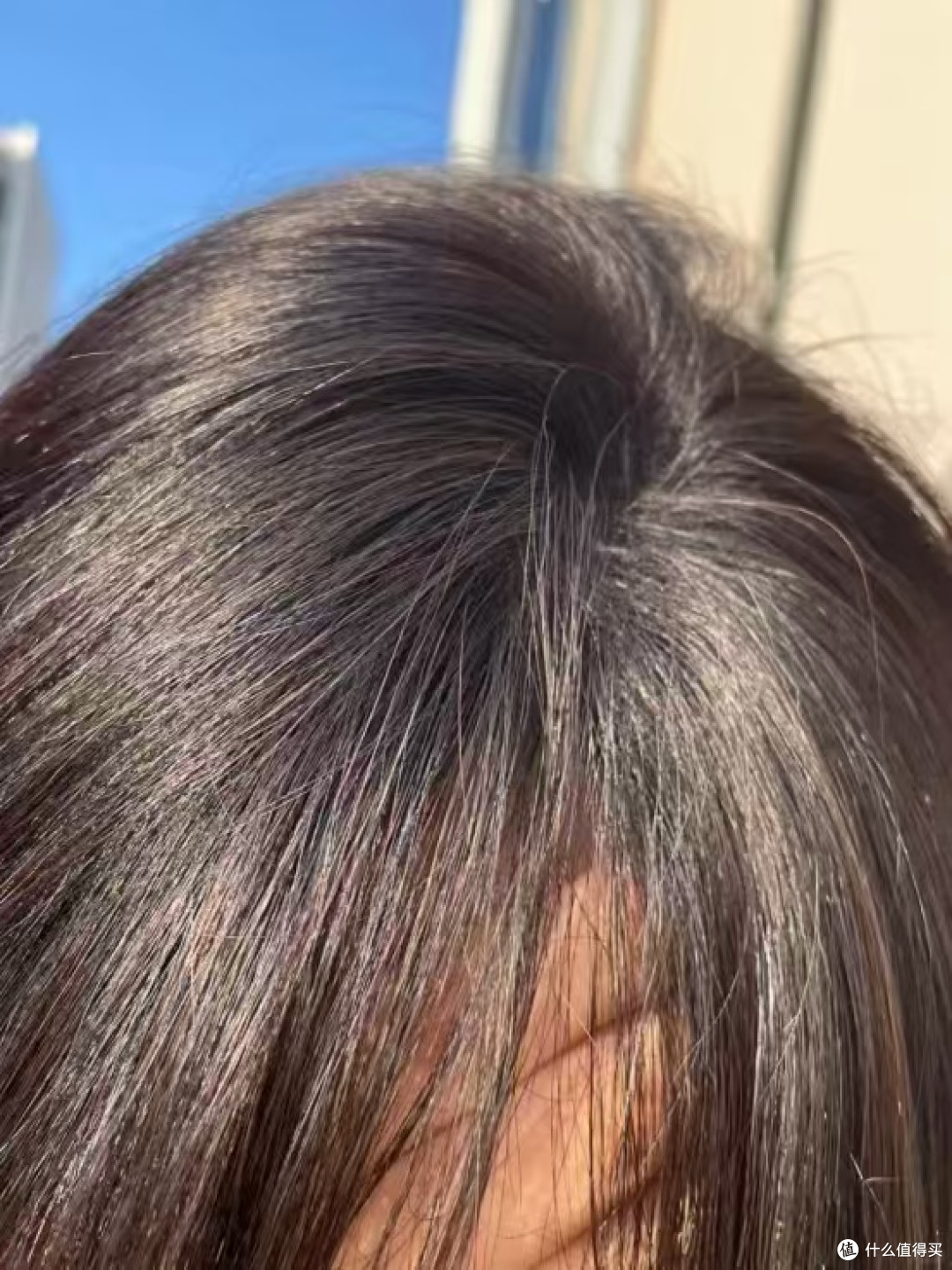 长期反复头屑头痒出油?实测4款止痒去屑控油洗发水,男女通用
