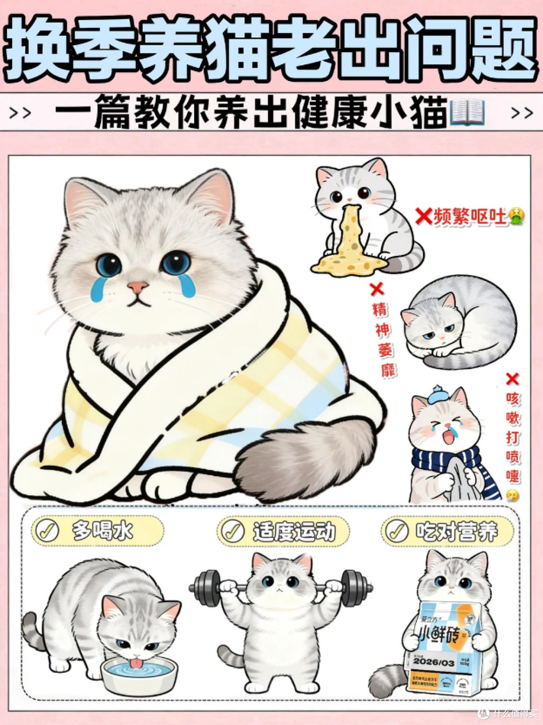 春季养猫必看|主食冻干才是自护力救星✨