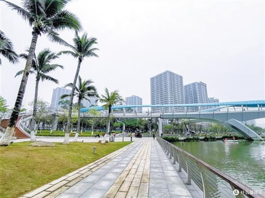 南沙滨海绿道——广州的“海边”浪漫骑