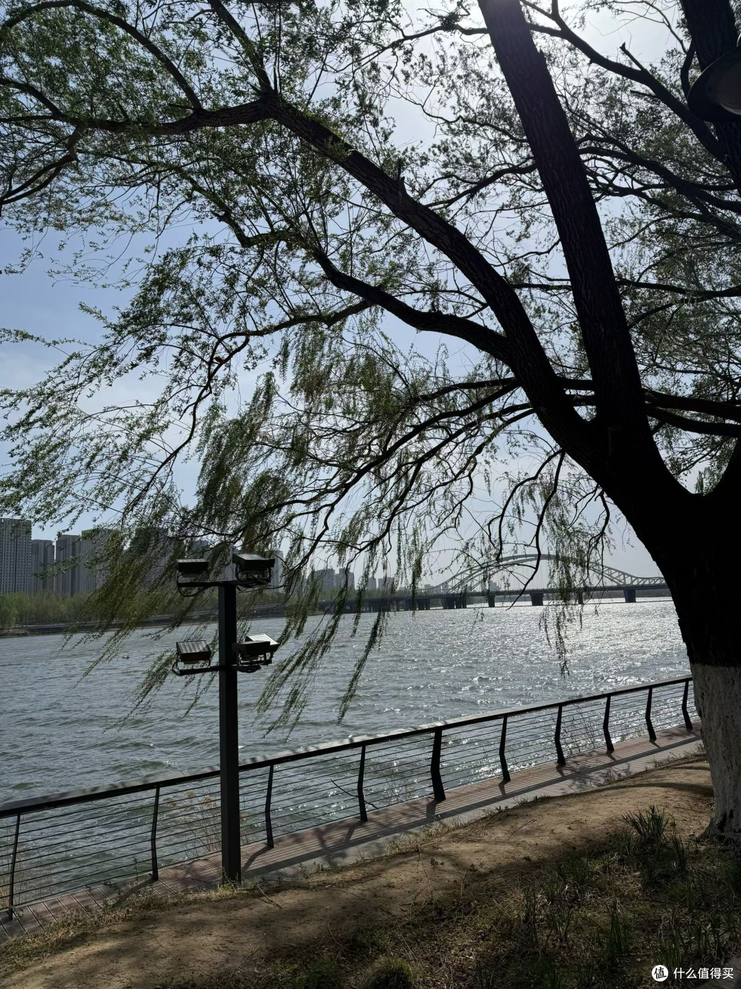 保康九路寨：亲子洗肺之旅，解锁峡谷秘境