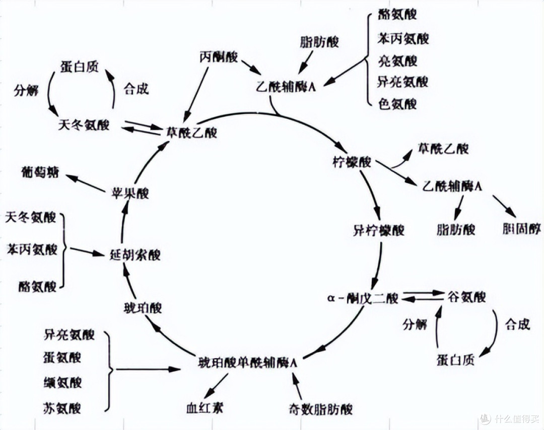 0脂0糖=健康,有没有可能又是商家的文字游戏?