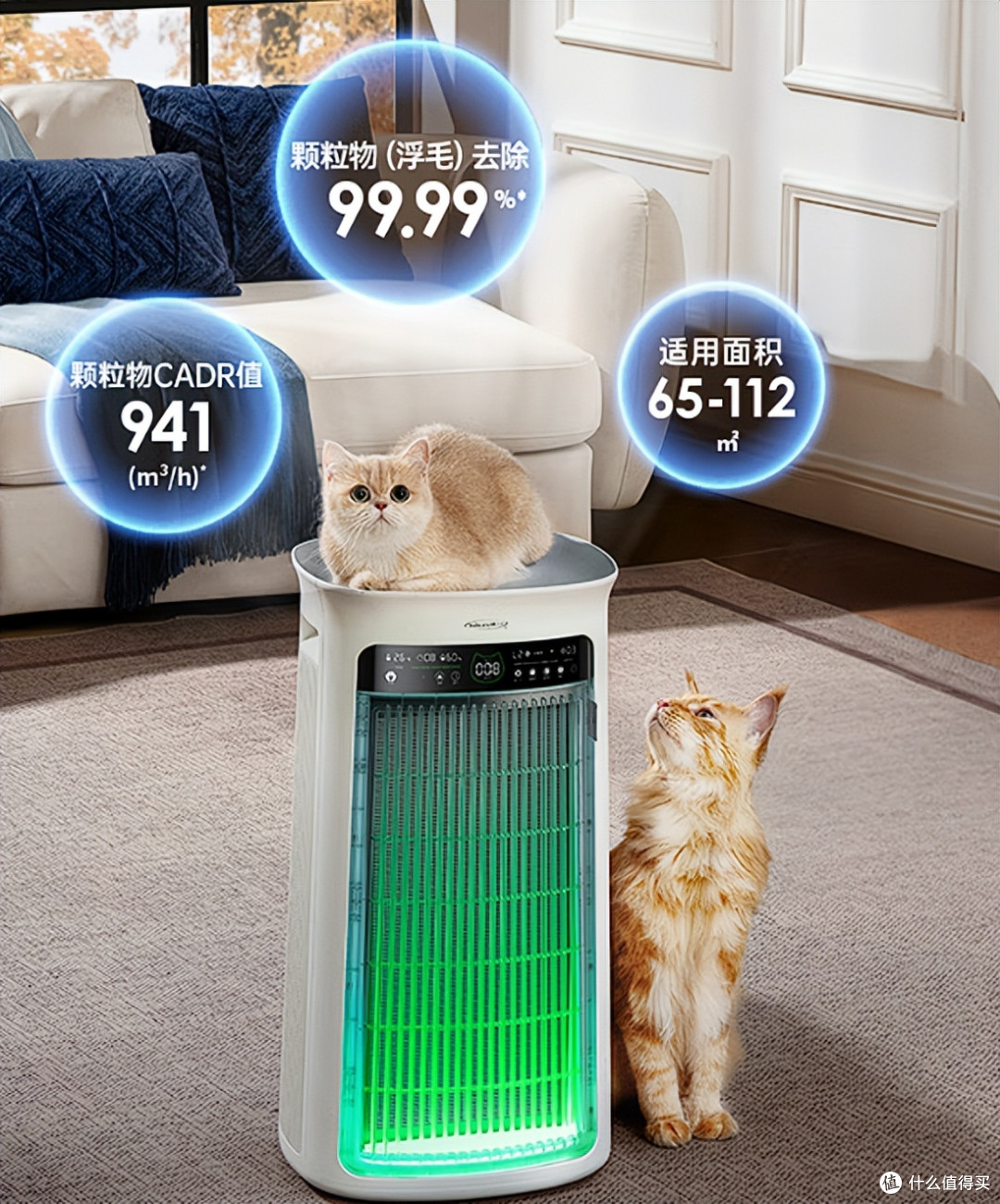 2026排行榜出炉,宠物空气净化器哪个牌子好看这篇,真实体验分享