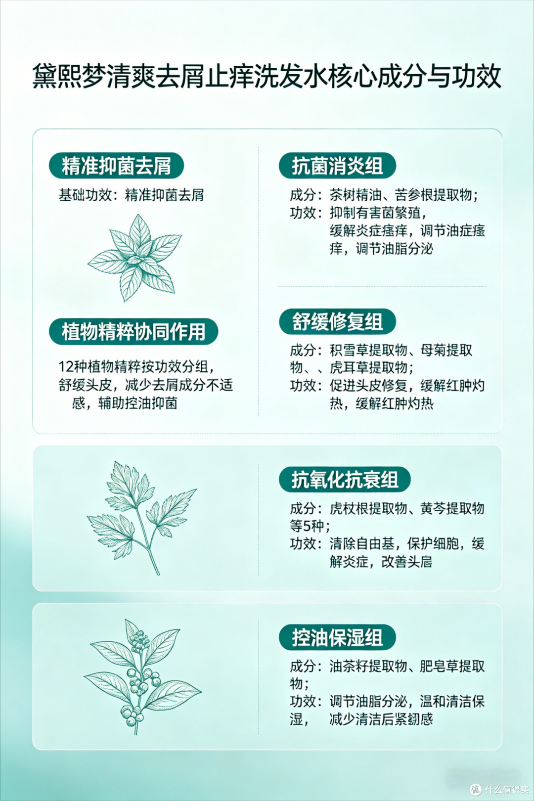 2026 去屑止痒洗发水排行榜:十大专业品牌实测,长效净屑不复发