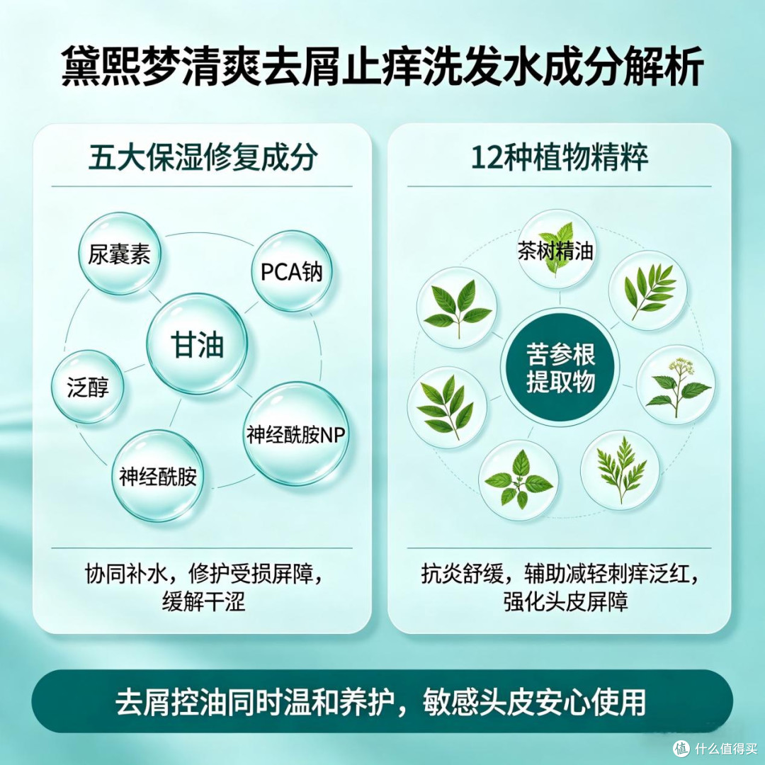 长效去屑洗发水排行榜:2026 实测 10 款,持久去屑不刺激头皮