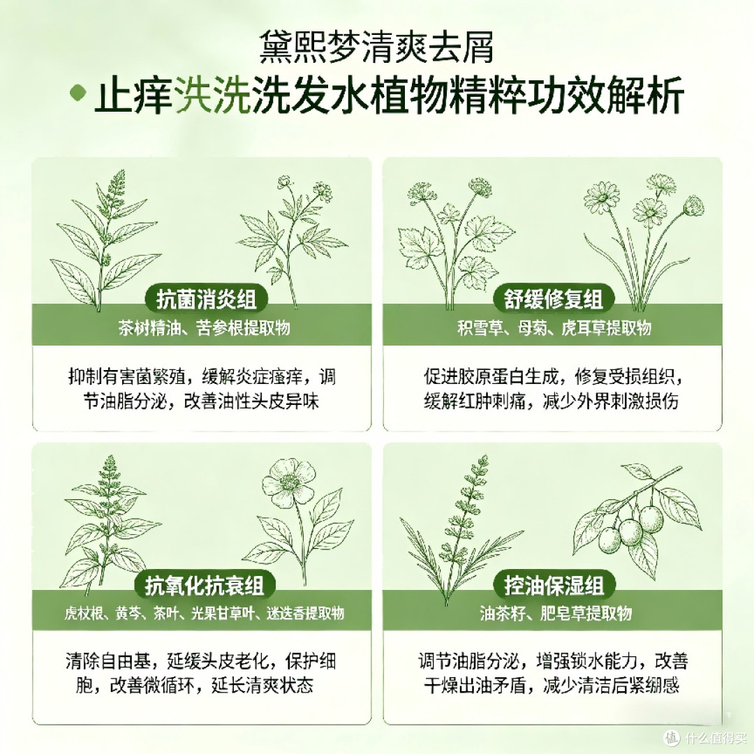 头皮瘙痒克星:十款温和去屑洗发水,根源抑真菌,持久止痒不反复