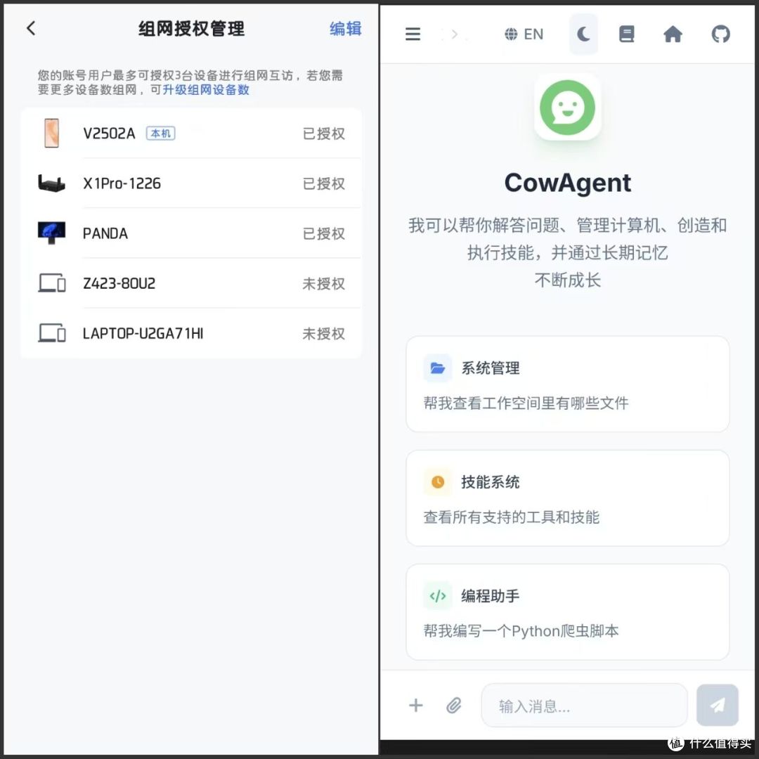 组网详情