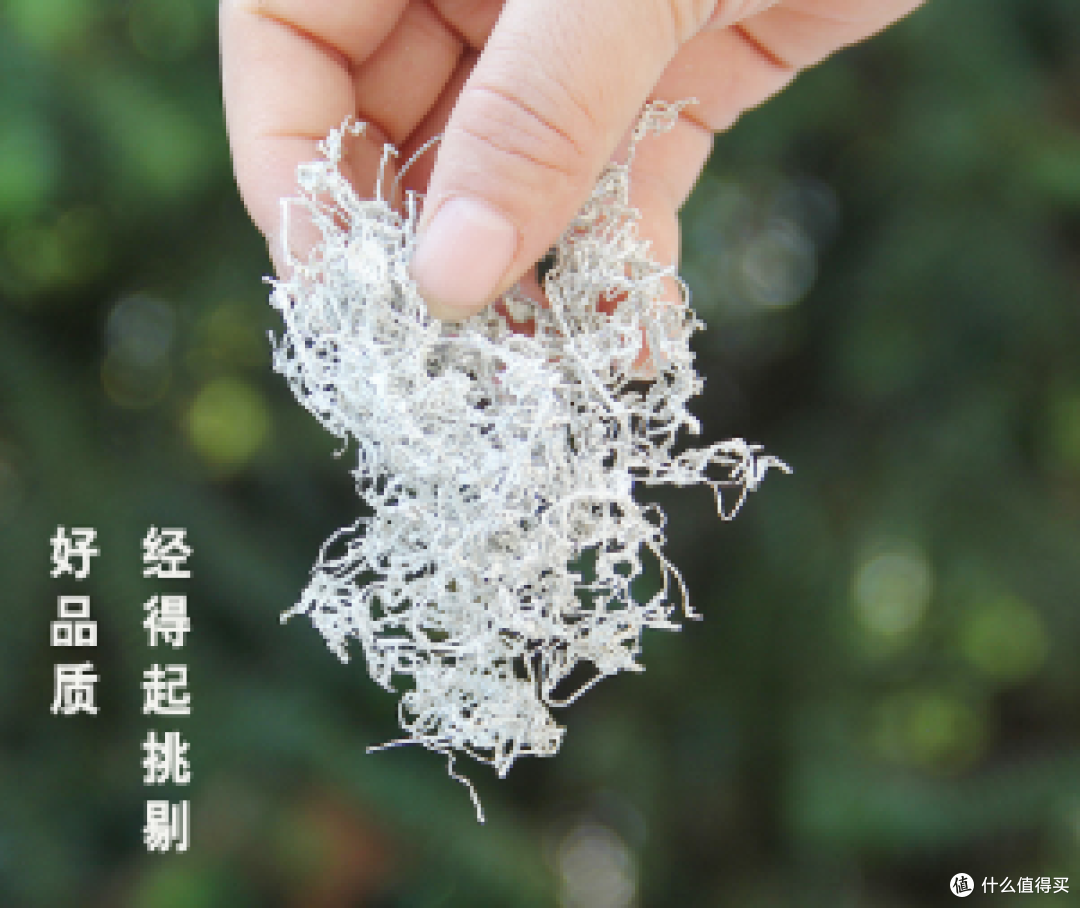 看白霜、认产地!4个硬指标,避开莓茶90%的智商税
