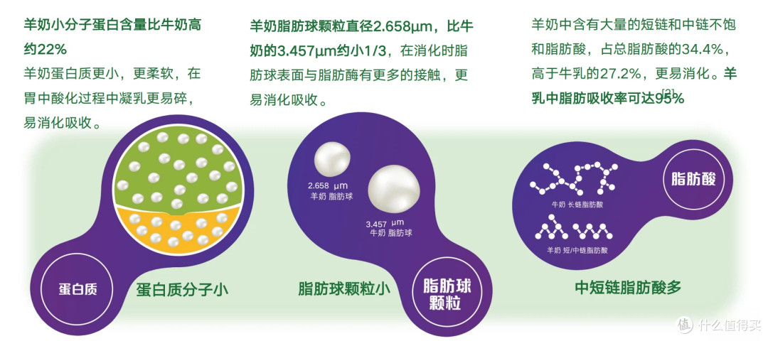 2026羊奶粉选购硬核指南:五大主流品牌谁是你的“天选之奶”?