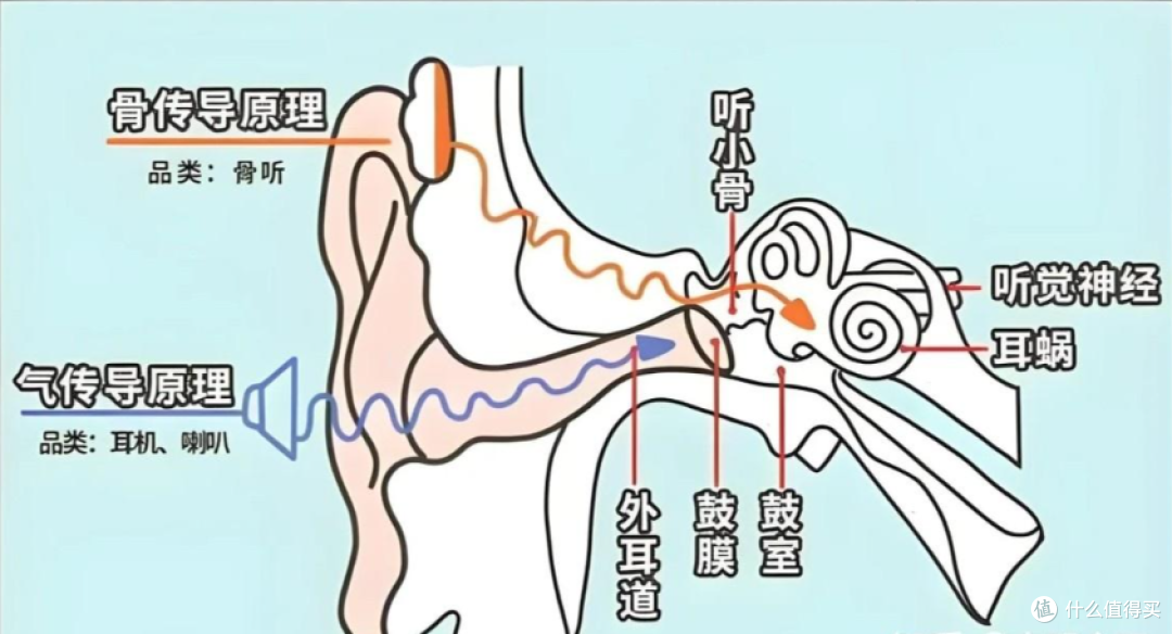 南卡/Cleer/科大讯飞三款热门开放式耳机横评对比