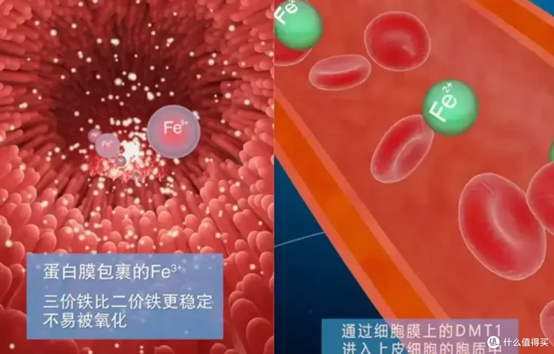 孕期补铁平价选择,康韵兴补铁剂适合顾家妈妈