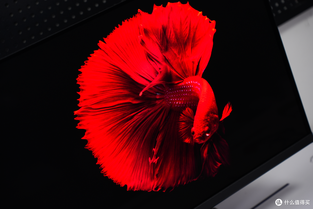 同价位碾压级存在?微星MAG 271QP QD-OLED X28流光上手实测