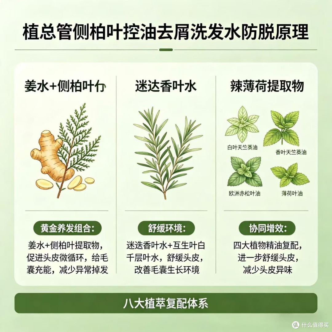 哪款洗发水控油去屑既有效又温和?2026实测红榜,温和不刺激