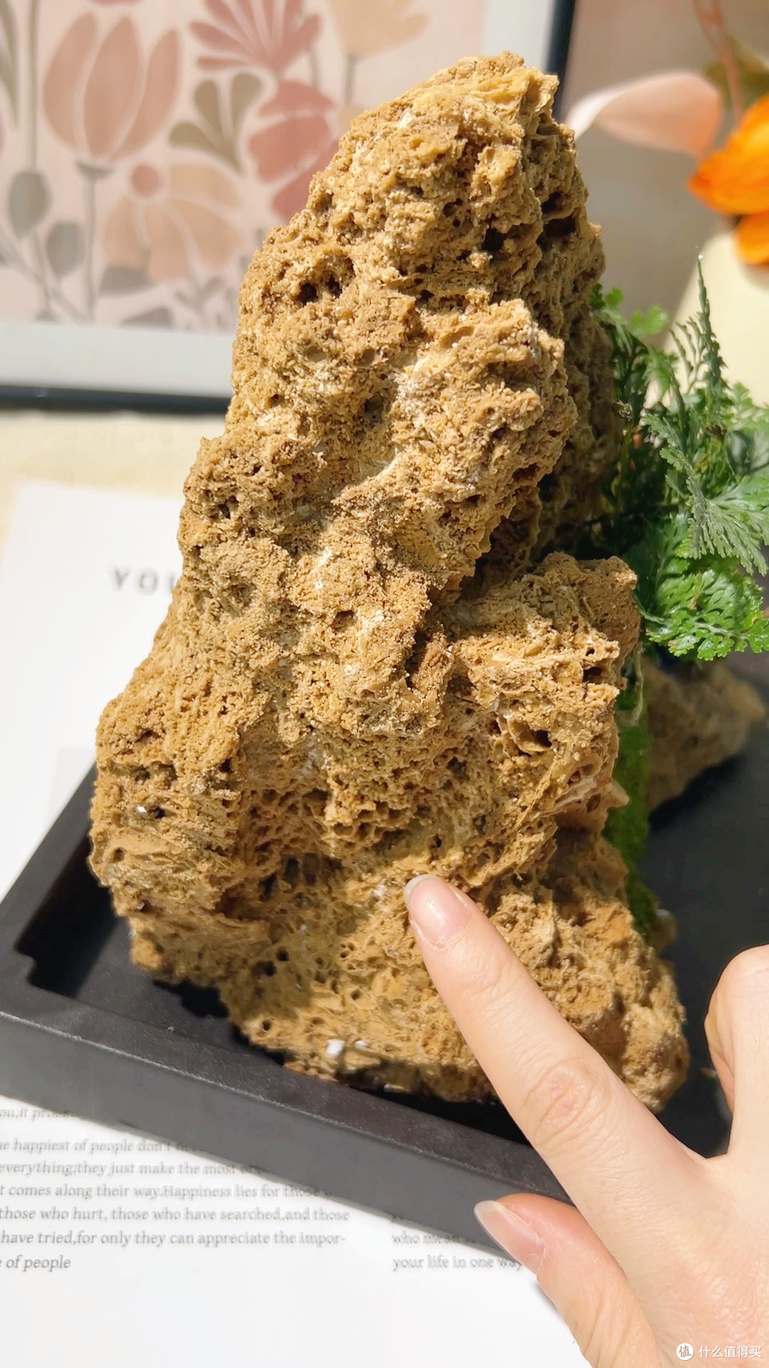 有机儿童成长奶粉,真的是娃成长关键期的本命高端奶粉