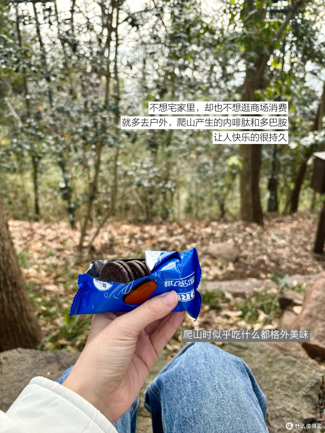 理财稳学家的记账与储蓄之道
