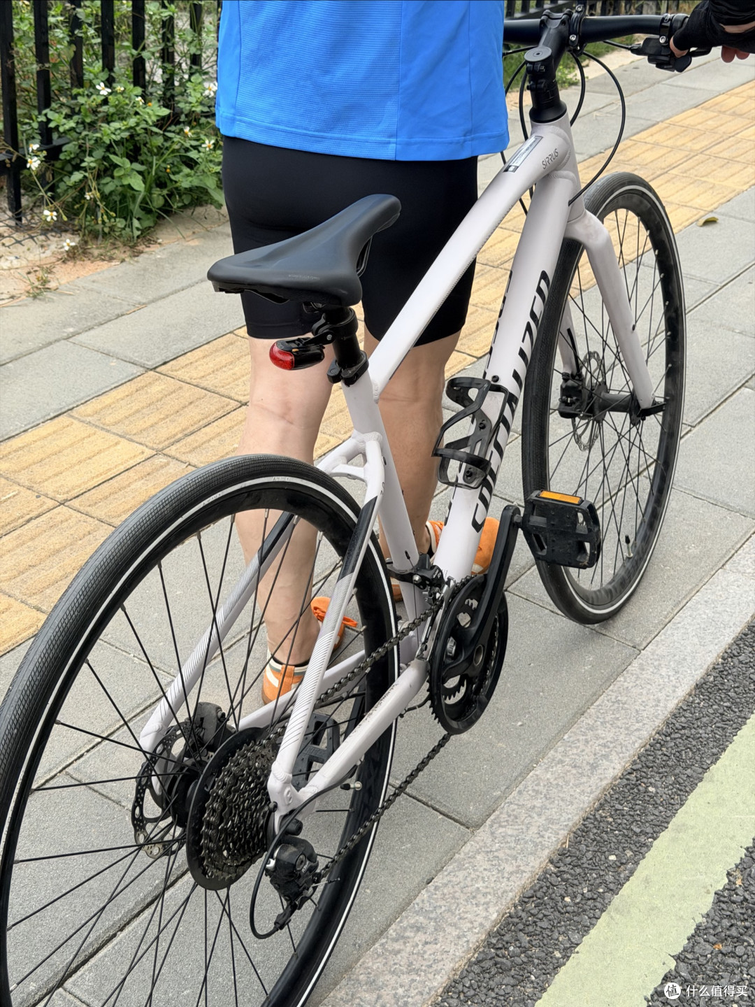 追风日记|厦门环岛路白昼追风,闪电战车与海风共舞!