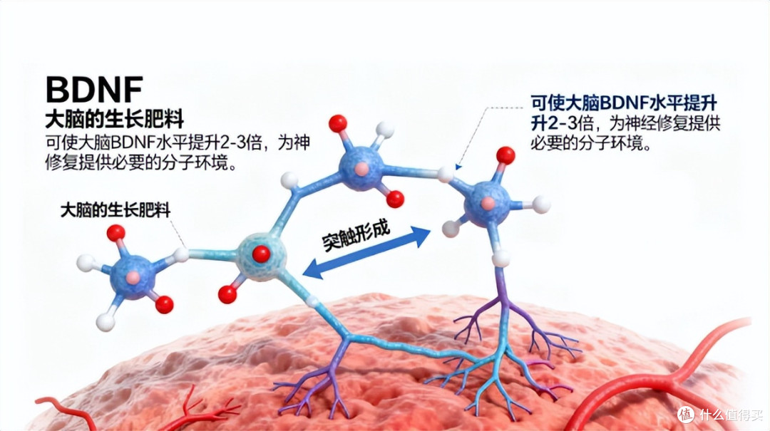 别再逼孩子死学了!运动改造大脑,这5种运动让娃专注力翻倍