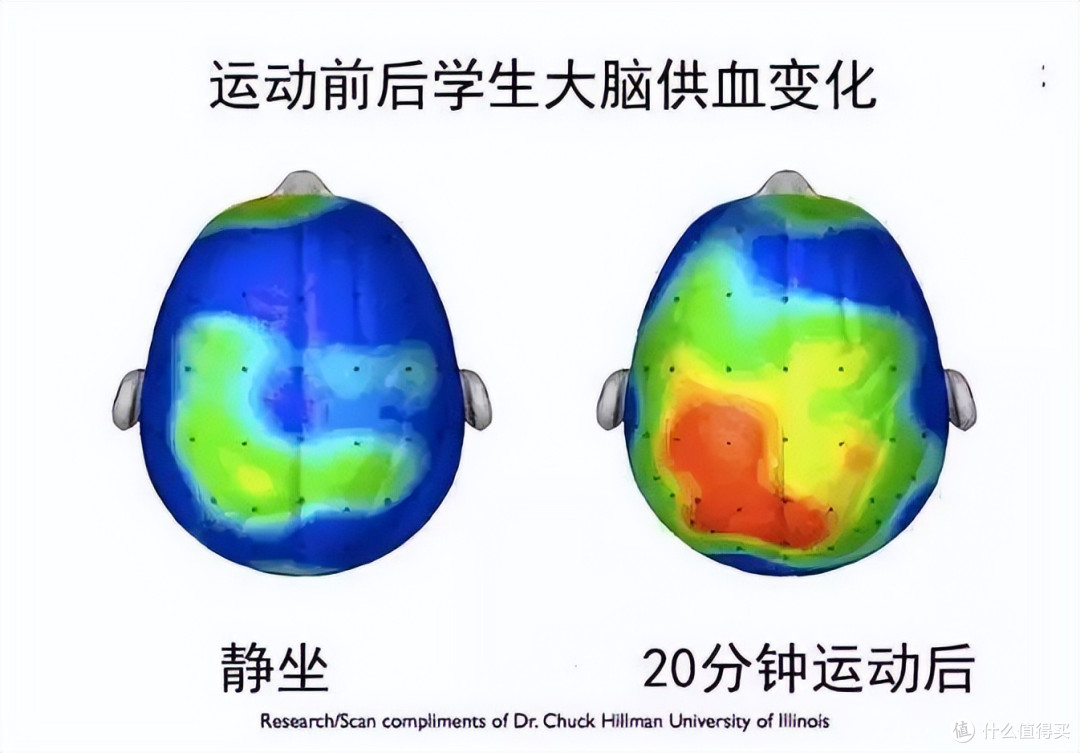 别再逼孩子死学了!运动改造大脑,这5种运动让娃专注力翻倍