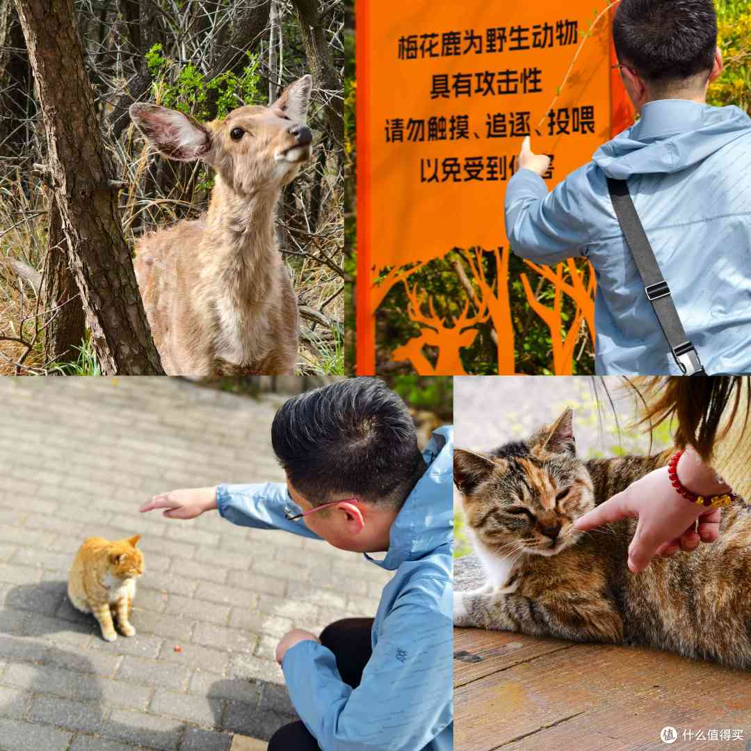 告别暴晒小黑皮——鹅铠甲防晒衣，以薄铠之力，隔绝烈日