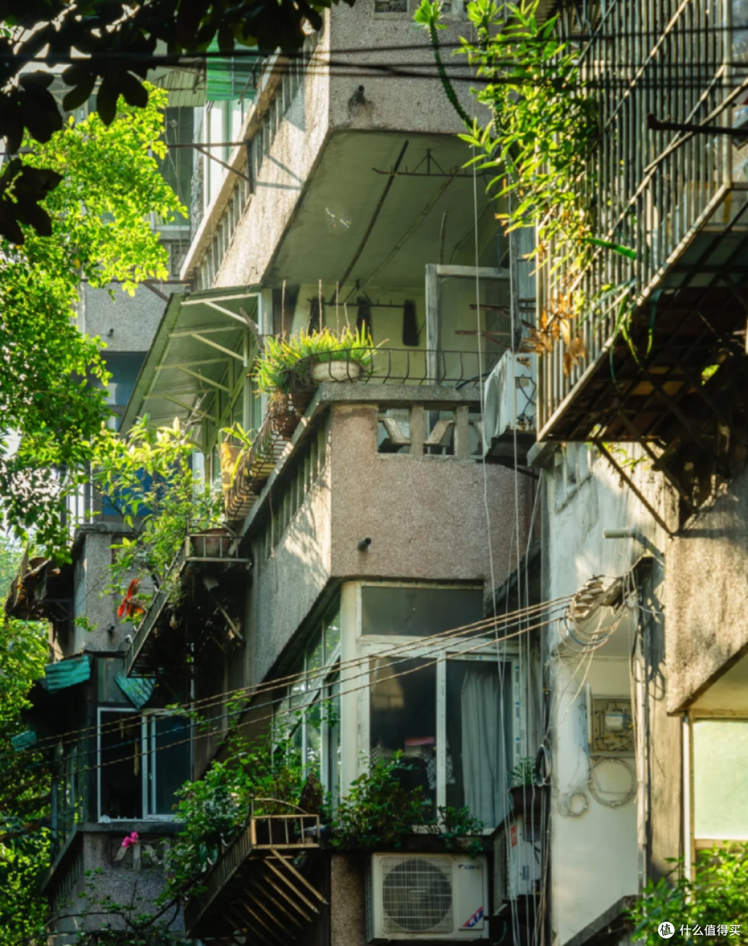 这5个楼层才是真正的“黄金楼层”，越住越富贵，懂行的人都在抢