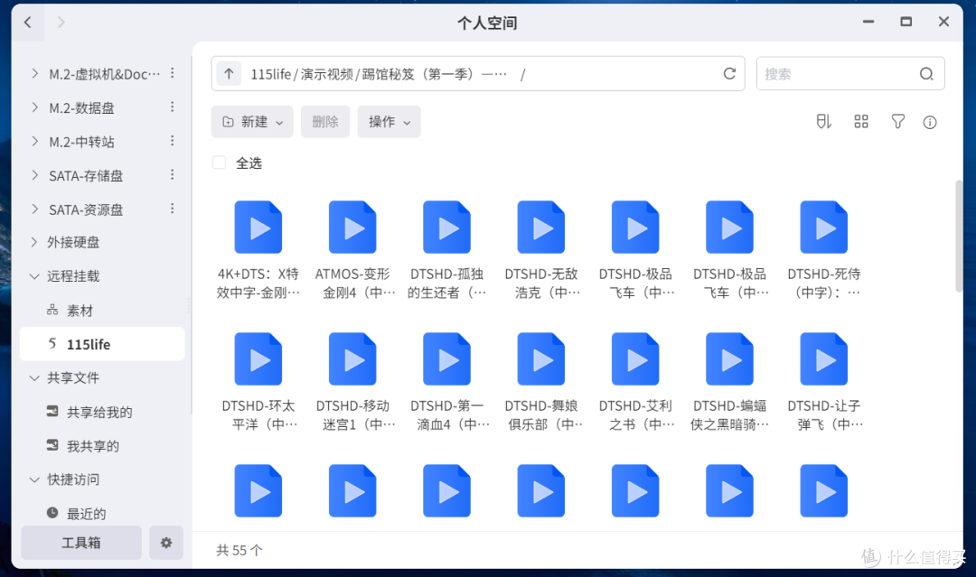 别再养虾养马了！OpenCode才是NAS上最被低估的本地AI工作流神器