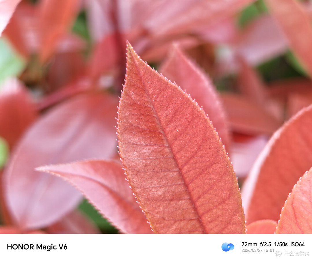 把直板机的轻薄塞进折叠屏，续航还顶，荣耀Magic V6怎么做到的