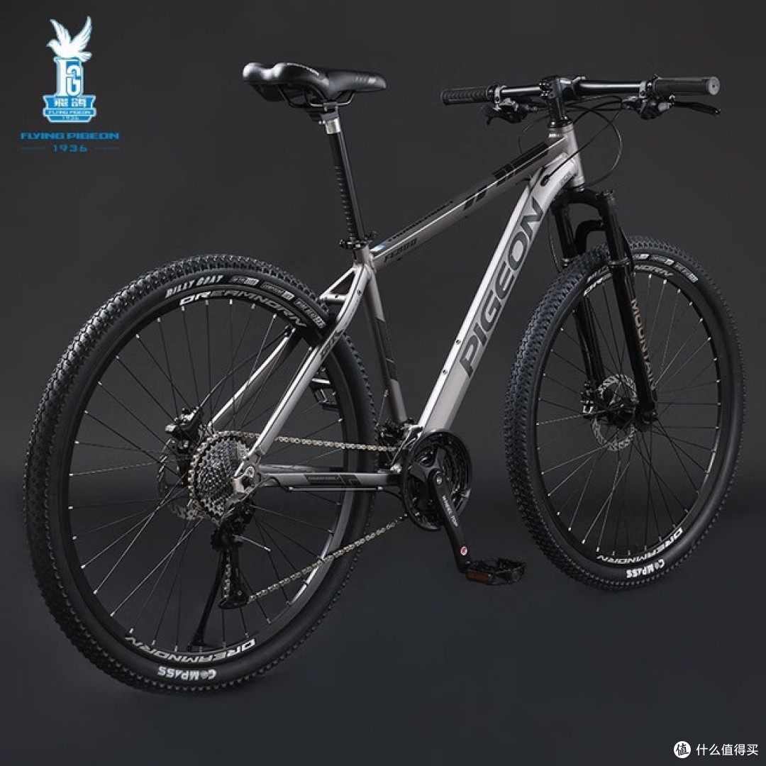 城市骑行🚴♀️座驾。