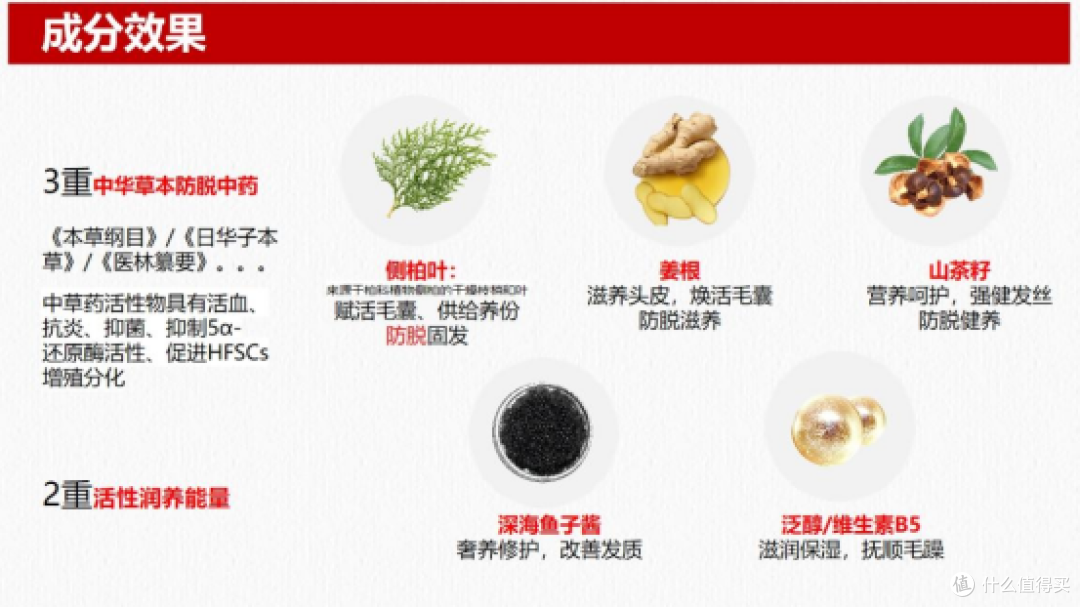 2026防脱趋势洞察：侧柏叶成分让头皮重获新生