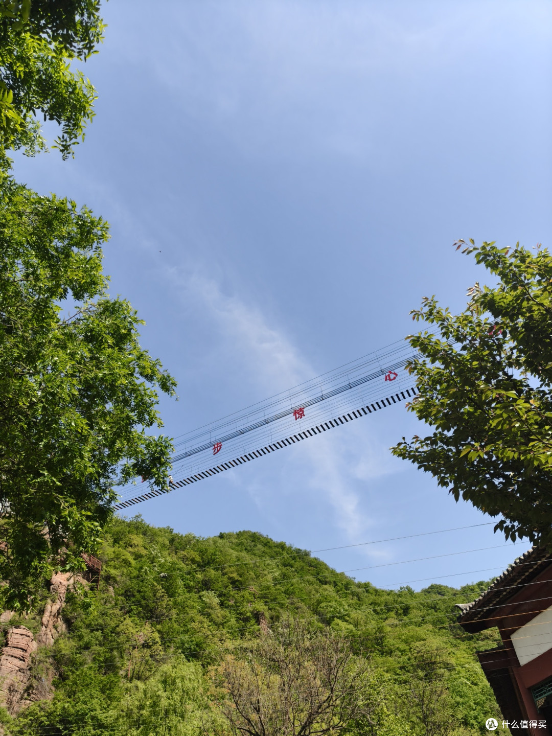 神都洛阳D2.3:龙潭大峡谷、应天门外,牡丹、妆造跟拍、明堂天堂