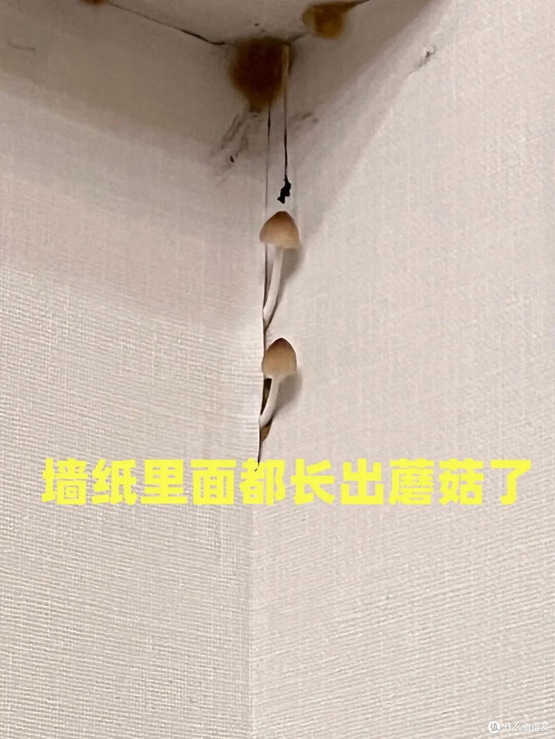 若再装修一次卧室,我发誓,坚决不做这5个设计,真的受够了!