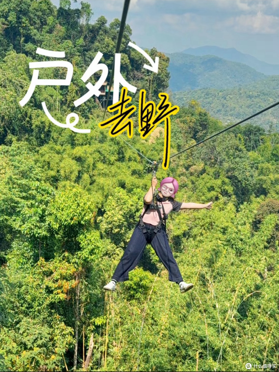 高空滑行，遇见雨林深处的美景