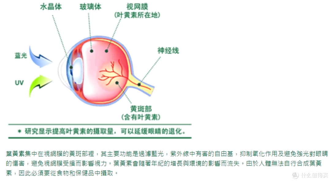 3-12岁孩子儿童叶黄素怎么选？2026实测10款排名，家长必看不踩坑
