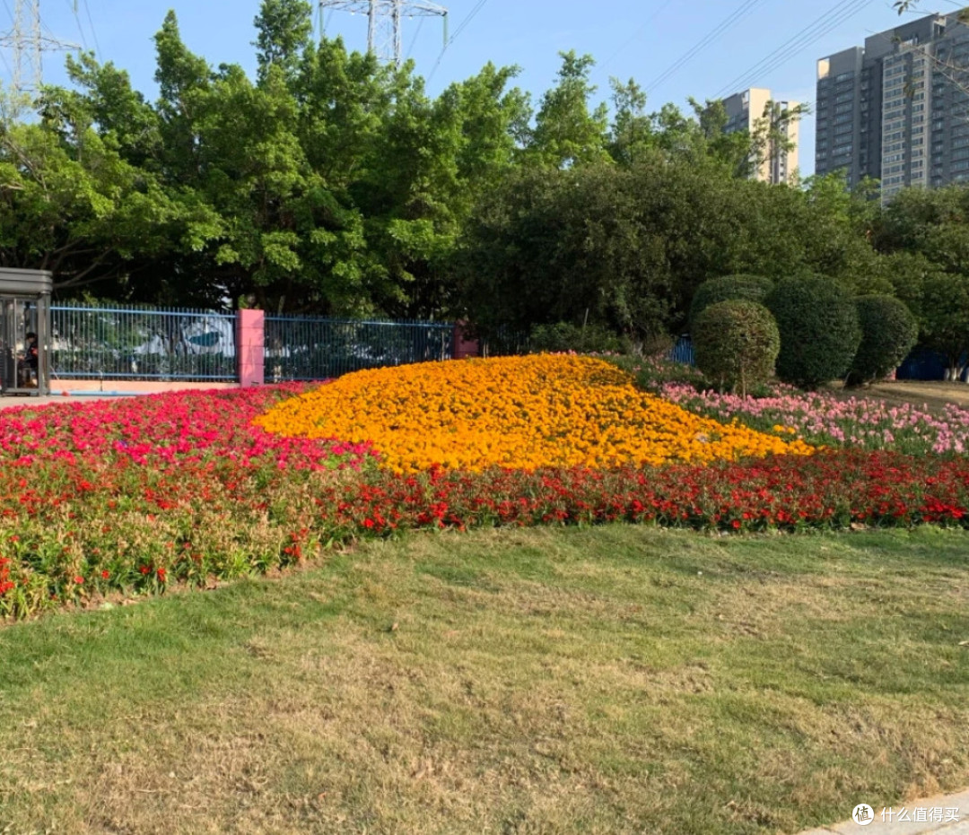 番禺骑行宝藏短途：从亚运城到大学城，在风里找回年轻的自己