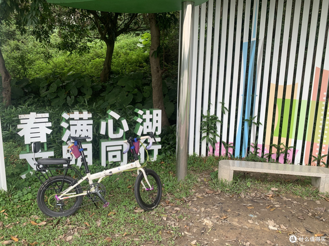 番禺骑行宝藏短途：从亚运城到大学城，在风里找回年轻的自己