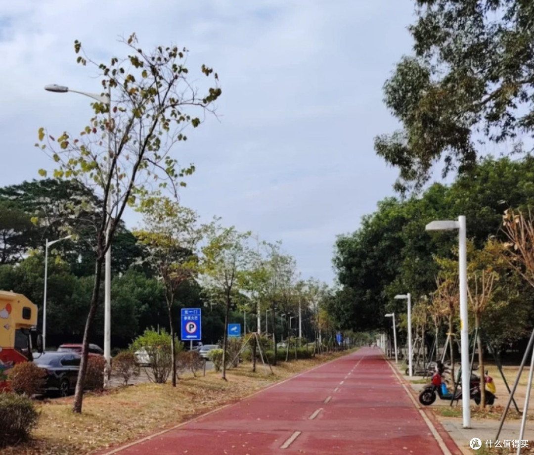 番禺骑行宝藏短途：从亚运城到大学城，在风里找回年轻的自己