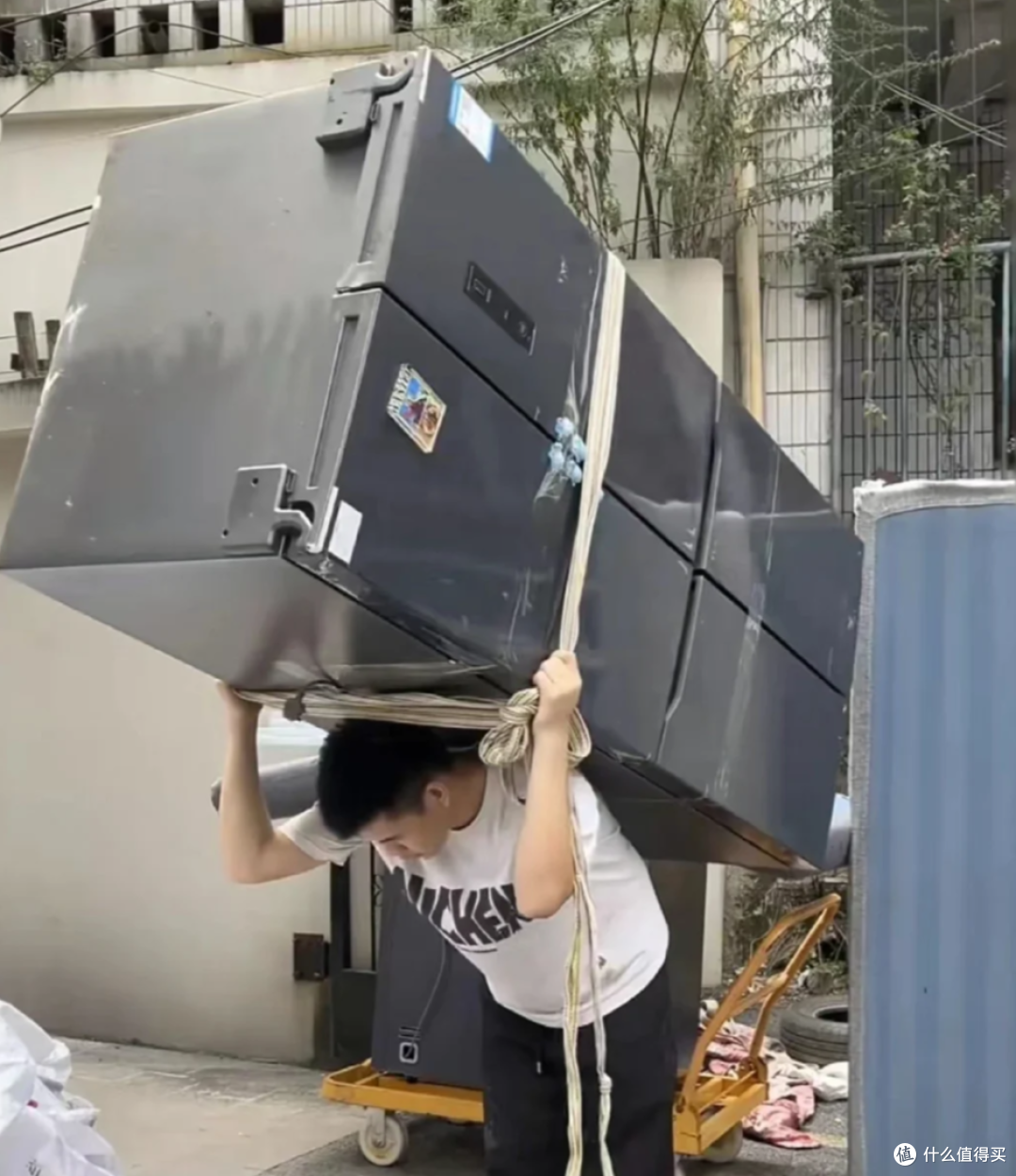 第一次住28楼,第二次住3楼,居住体验天差地别,选错毁一生!