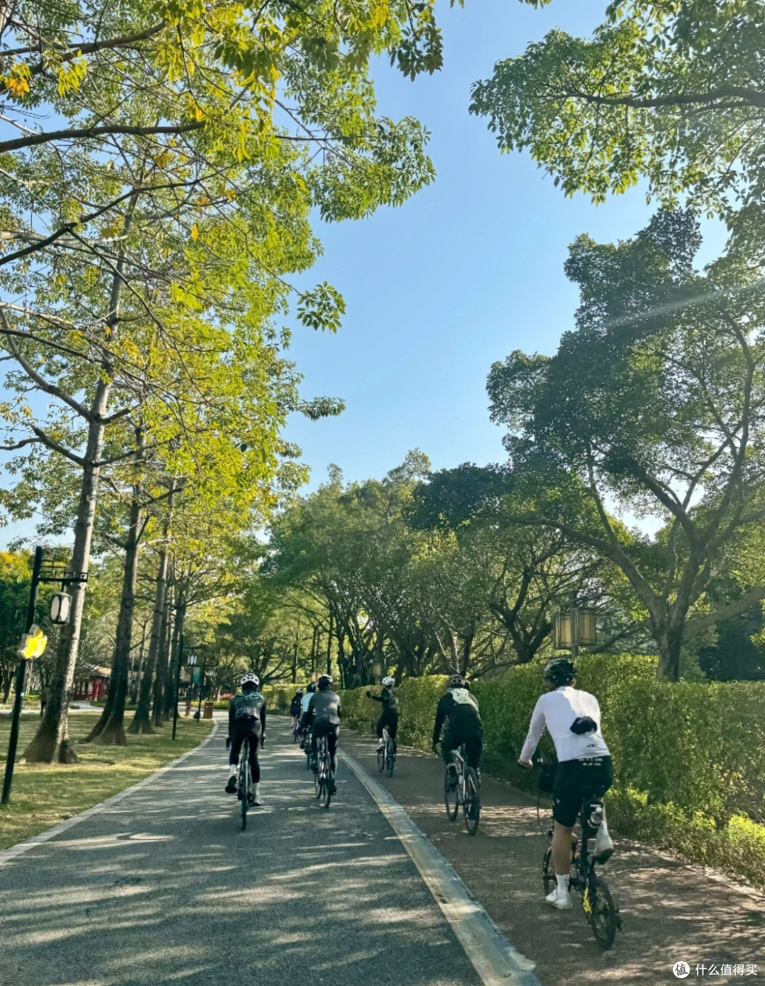 多城骑行实测对比：路况、补给、夜骑与骑行文化