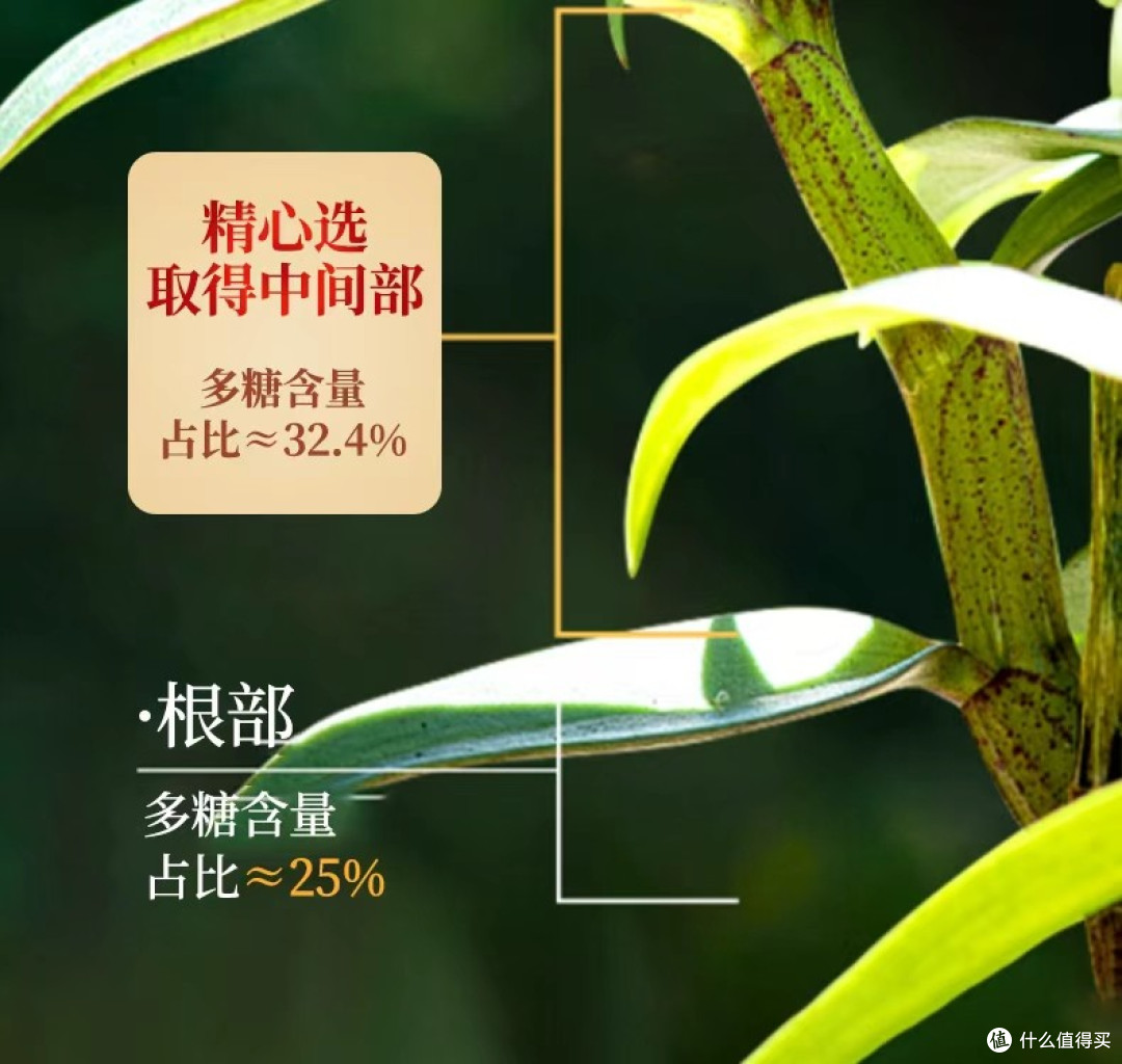 基于2026石斛消费者口碑白皮书对前十品牌调研,石斛哪个品牌好?