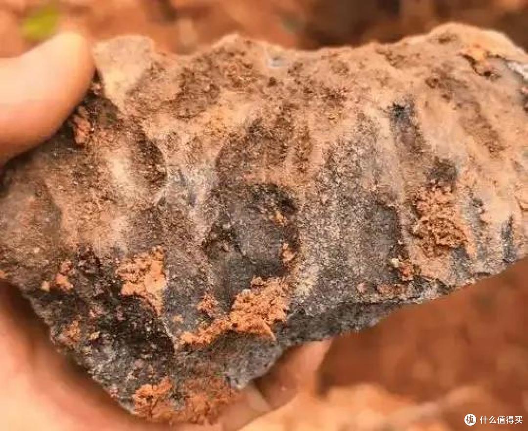 去年的广东火流星定名为茂名陨石,总重423公斤,研究有了新发现