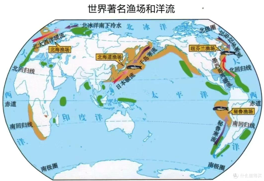 2026深海鱼油选购:避开营销套路,看准这四大黄金指标