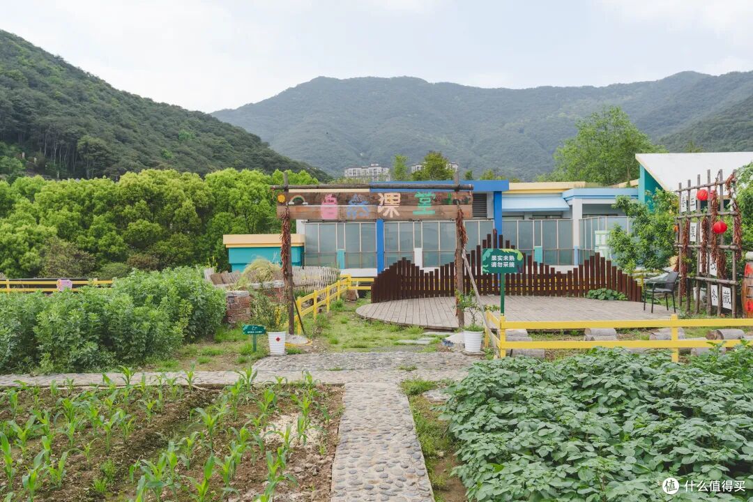 在这个浙江旅游冷门小城,花一个周末看遍山川湖海!