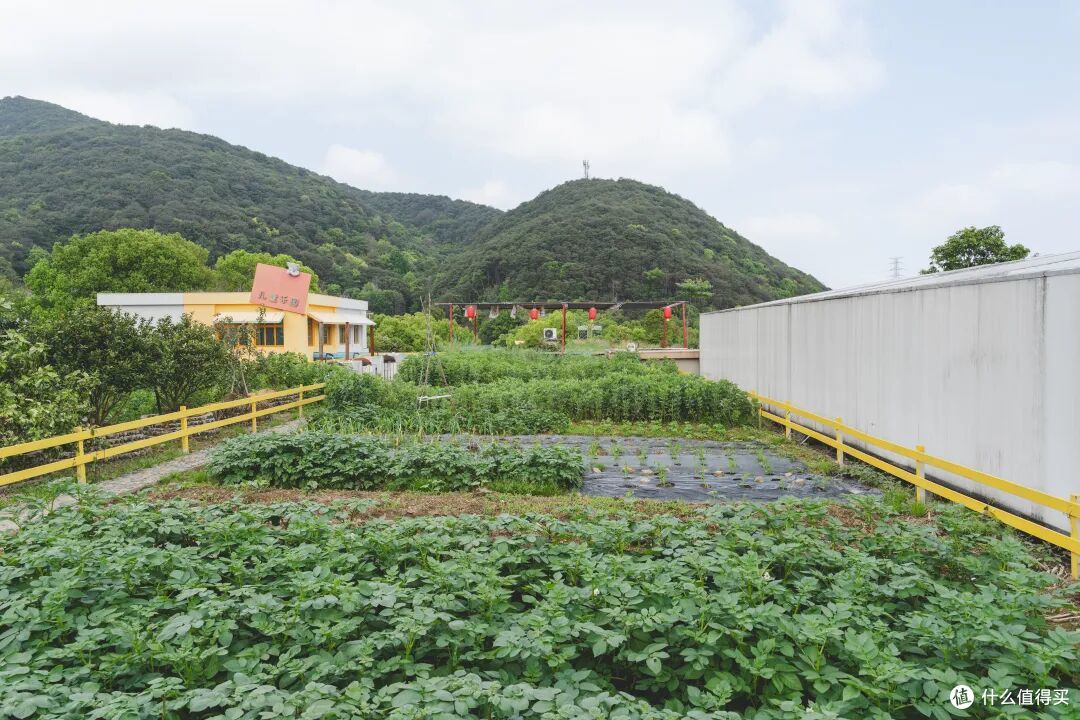 在这个浙江旅游冷门小城,花一个周末看遍山川湖海!