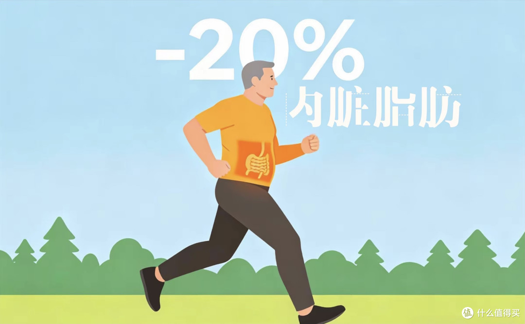 哈佛大学:每天快走30分钟,12周内脏脂肪降20%,肚子明显平