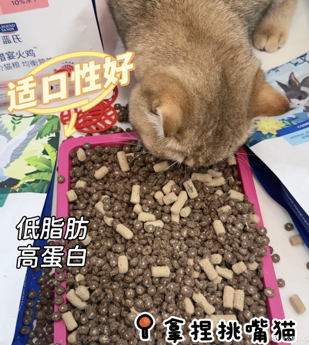 蓝氏乳鸽猫粮，适口性与肠胃友好