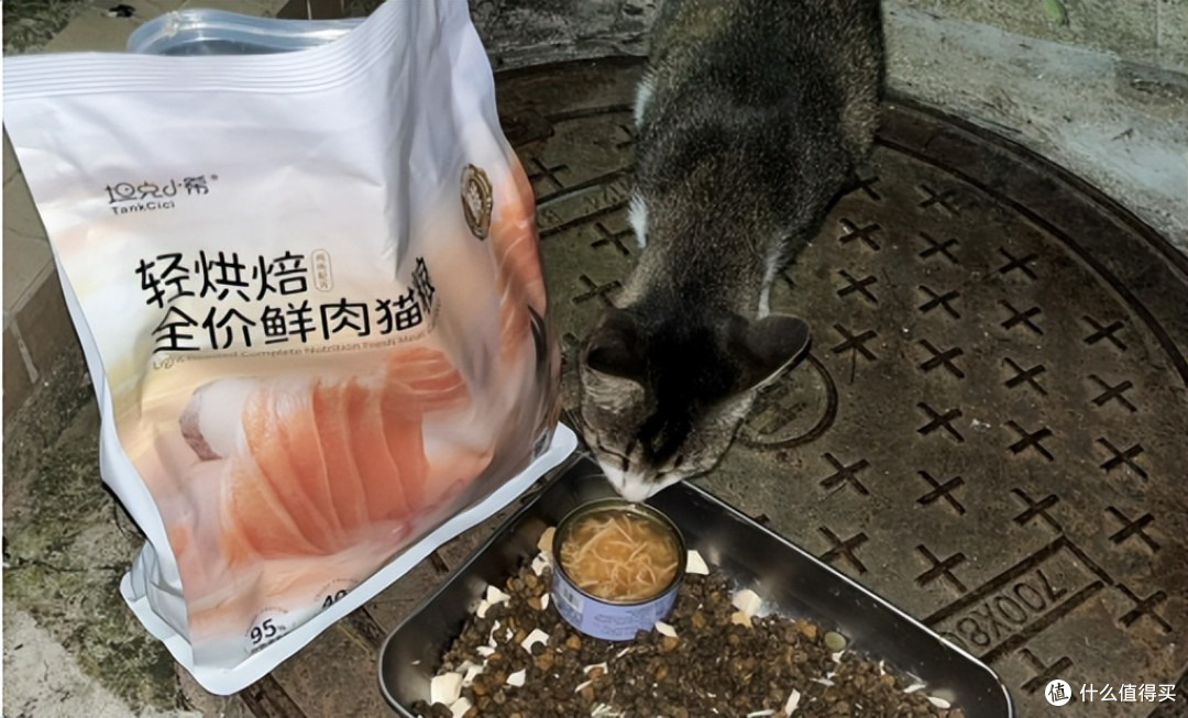 市场趋势&口碑实证:2026年值得关注的五款猫粮