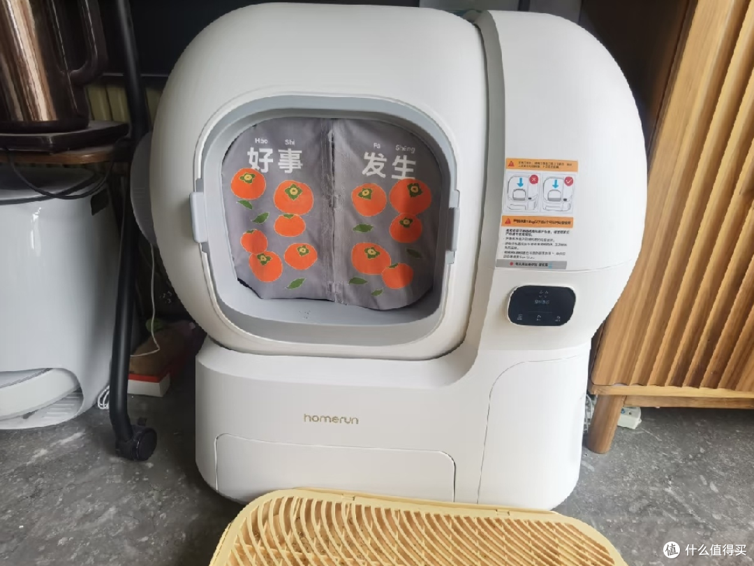 五一出行留猫在家需要做的准备