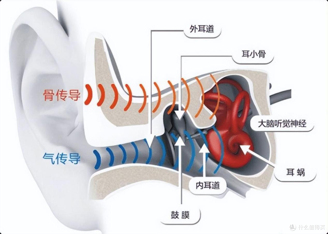骨传导游泳耳机横评:南卡vs韶音谁才是运动党水下听音首选?