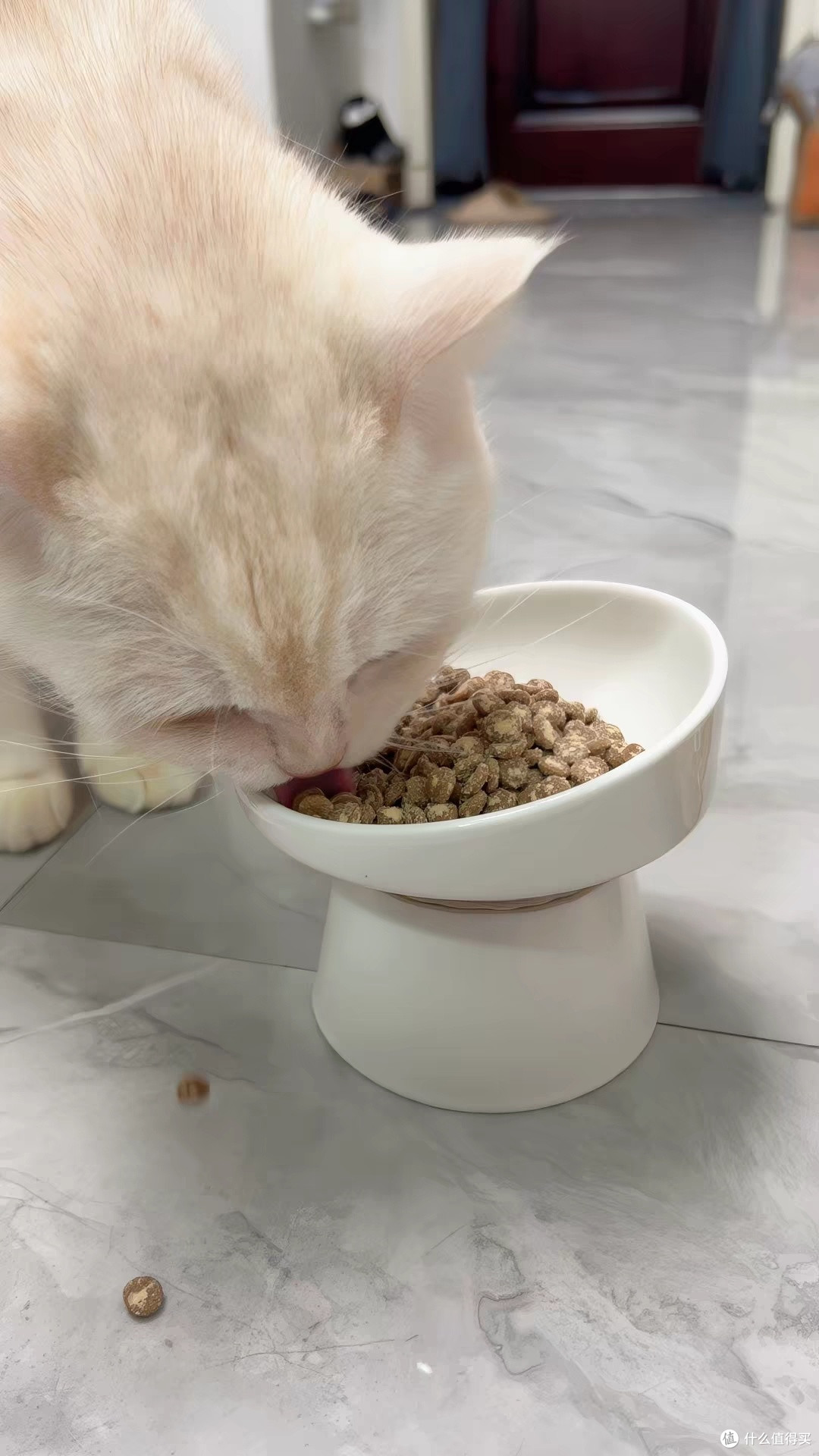 弗列加特0乳糖高鲜肉猫粮