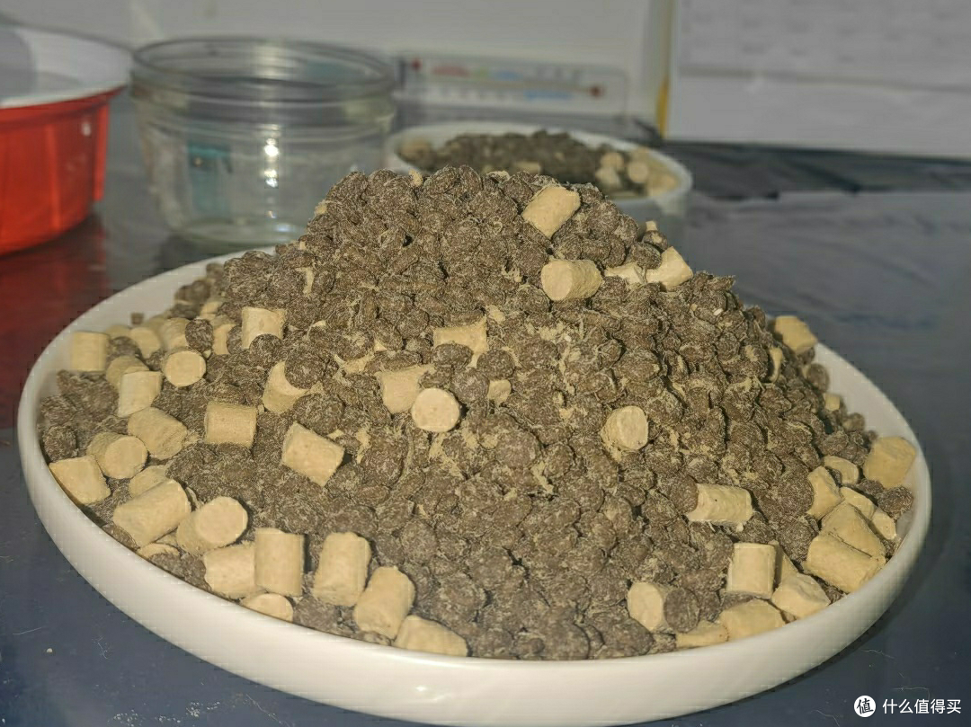 五一假期宠物留守全攻略